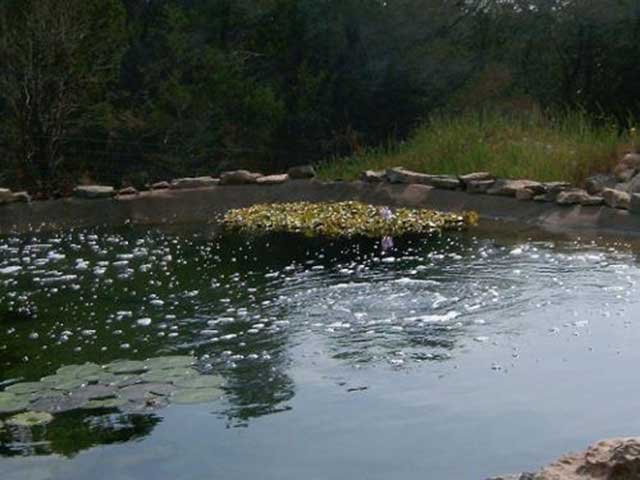 Hiding pond liner