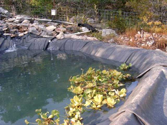 Exposed pond liner