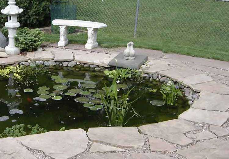 Exposed pond liner