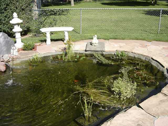 Hiding pond liner