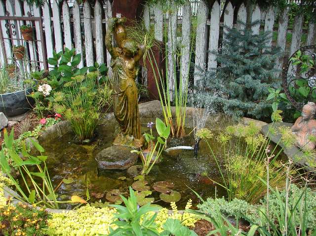 small pond fountain